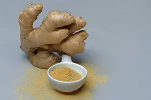 Medicinal Plant Nutrition Prints: Ginger root and ginger powder in spoon