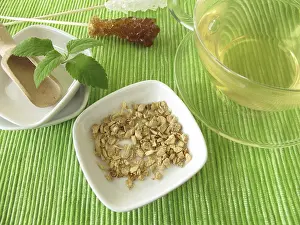 Medicinal Plant Prints: Ginger tea