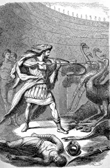 Gladiator Commodus fights ostriches in the circus Print