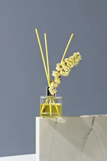 Aromatherapy Wellness Prints: A glass aromatic diffuser with reed sticks