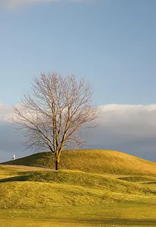 Empty Golf Course Prints: On the empty golf course in autumn