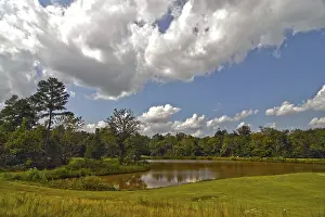 Deserted Golf Course Prints: Golf course landscape