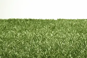 Uninhabited Golf Courses Prints: Golf course, lawn
