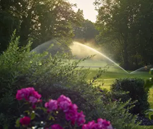 Uninhabited Golf Courses Prints: Golf ground