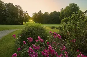 Uninhabited Golf Courses Prints: Golf ground