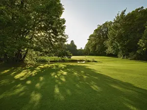 Uninhabited Golf Courses Prints: Golf ground