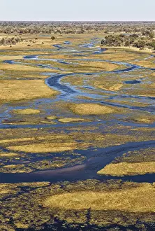 Aerial View Of River Prints: The Gomoti River with its channels