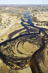 Aerial View Of River Prints: The Gomoti River with its channels