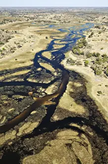 Okavango Delta Aerial View Prints: The Gomoti River with its channels
