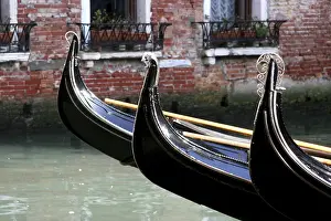Venice Gondolas Prints: Gondolas