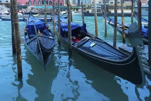 Prints of Gondolas anchor in the rain at the Rialto Bridge, Venice, Veneto, Italy Rialto Bridge, Venice Prints: Gondolas anchor in the rain at Rialto Bridge, Venice Print
