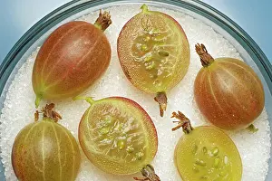 Gooseberry Nutrition Prints: Gooseberries