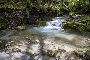 European Mountain Streams Prints: Gorge de Perrefitte, small gorge