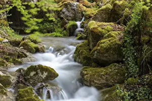 Rocky Gorge In Europe Prints: Gorge de Perrefitte, small gorge