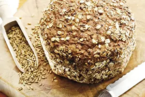Nutrition Food Prints: Whole grain bread