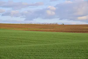 Grain Field Germany Prints: Grain field, field, clouds, spring