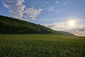 Thuringia Landscape Photography Prints: Grain field in spring with clouds at sunset
