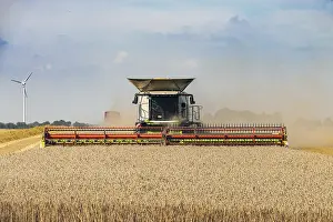 Deserted Farmland Prints: Grain harvest