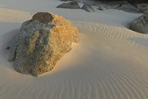 No People On Sandy Ocean Beach Prints: Granite rocks in the sand with wave structure