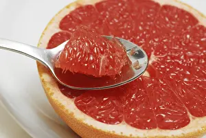 Grapefruit Nutrition Prints: Grapefruit