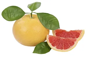 Rich In Vitamins Fruit Prints: Grapefruit fruit cropped isolated against a white background