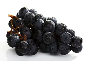 Grocery Store Fresh Produce Prints: Grapes