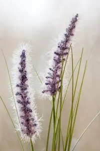 Deserted Grasslands Prints: Grasses