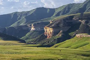 Rocky Cliff Landscape Photography Prints: Grassland with sandstone cliffs and cliffs