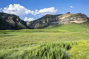 South Africa Landscape Prints: Grassland with sandstone cliffs and cliffs