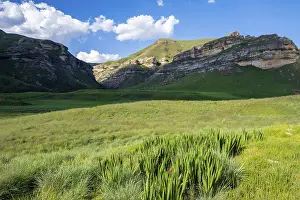 Deserted Grassland Landscape Prints: Grassland with sandstone cliffs and cliffs