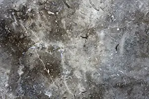 Gray Marble Texture Prints: Gray marble texture