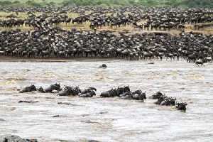 Great Migration Prints: The Great Migration