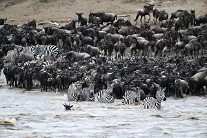 Great Migration Prints: The Great Migration