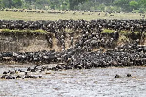 Great Migration Prints: The Great Migration