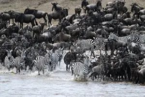 Great Migration Prints: The Great Migration