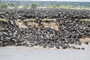 Great Migration Prints: The Great Migration