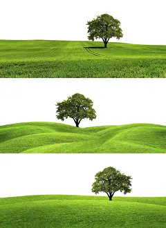 Studio Cutout Prints: Green Earth