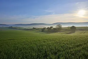 Cloudy Blue Sky Photo Prints: Green fields and meadows under a blue sky with few clouds
