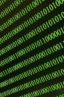 Binary Code Pattern Prints: Green horizontal binary rows, symbolising digital technology