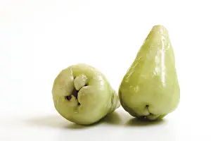 Exotic Fruit Photography Prints: Green Java apples (Syzygium samarangense)