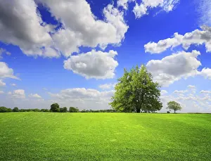 Deserted Countryside Scenes Prints: Green Landscape