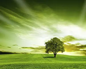 Rural Agricultural Scenes Prints: Green landscape