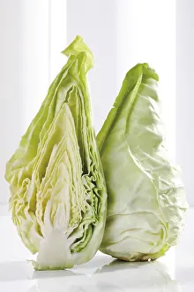 Brassicaceae Plant Species Prints: Green pointed cabbage