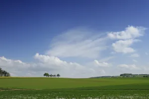 German Spring Landscape Prints: Green spring landscape with trees clouds