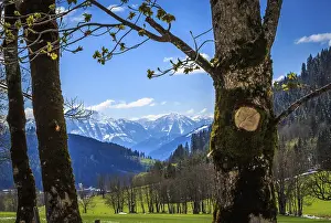 European Countryside Images Prints: Green valley