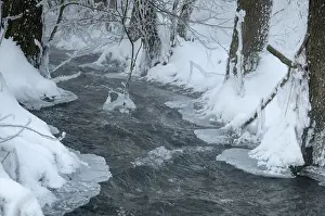 European Wintry Landscapes Prints: Greiz, Thuringia, Triebitzbach