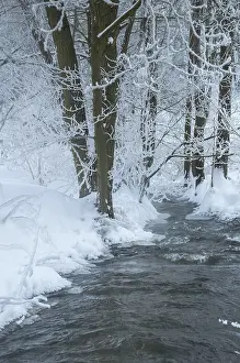 German Winter Scene Photography Prints: Greiz, Thuringia, Triebitzbach