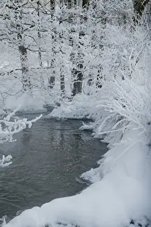 European Winter Landscape Photography Prints: Greiz, Thuringia, Triebitzbach