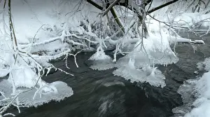 German Winter Scenery Prints: Greiz, Thuringia, Triebitzbach