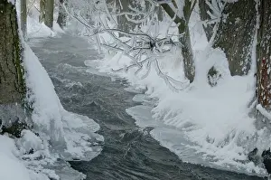 European Wintry Landscape Prints: Greiz, Thuringia, Triebitzbach